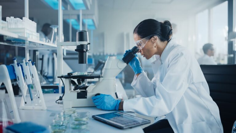 Chemie is one of the main application fields for PureEvo glove box