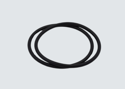 Ø100 Vakuumkammer-O-Ring