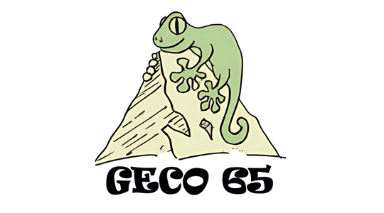 GECO 65 Congress